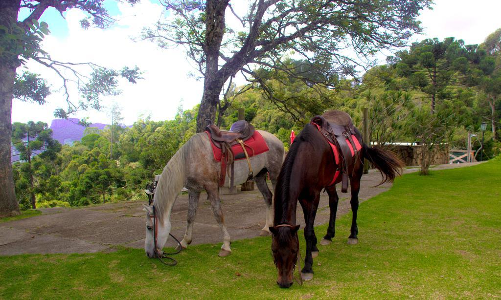 Pousada Marco Polo Campos do Jordão Buitenkant foto